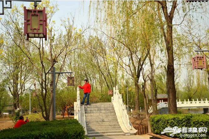 免门票！京郊“江南水城”颜值逆天！[墙根网]