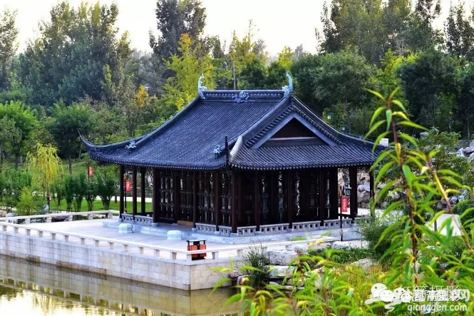 免门票！京郊“江南水城”颜值逆天！[墙根网]