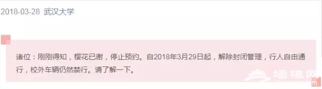 四月飘雪缘是樱，蓝调庄园晚樱盛景正当时！[墙根网]
