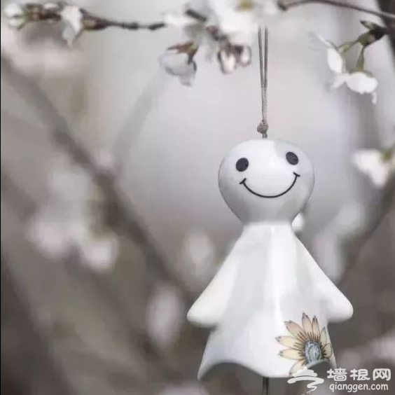 四月飘雪缘是樱，蓝调庄园晚樱盛景正当时！[墙根网]