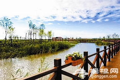天津：暮春踏青 风景独好[墙根网]
