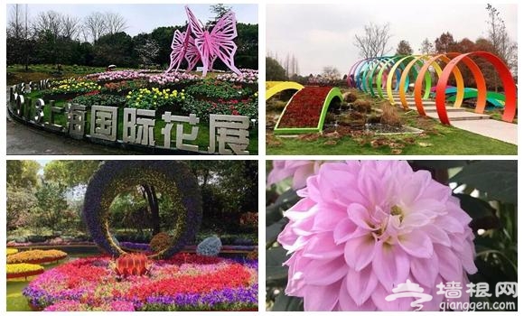 踏青赏花、看演出 去上海上这些地方玩转五一小长假
