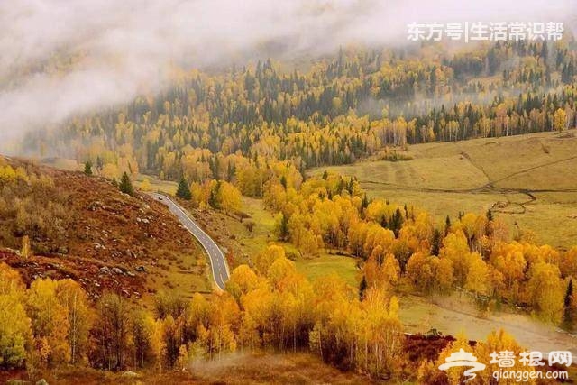 新疆最美的六条自驾游线路，很少有人走完[墙根网]