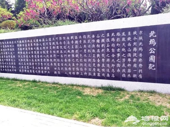 告别人山人海 充满野趣的小众公园快来逛逛[墙根网]