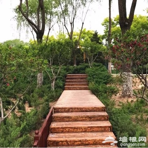 告别人山人海 充满野趣的小众公园快来逛逛[墙根网]