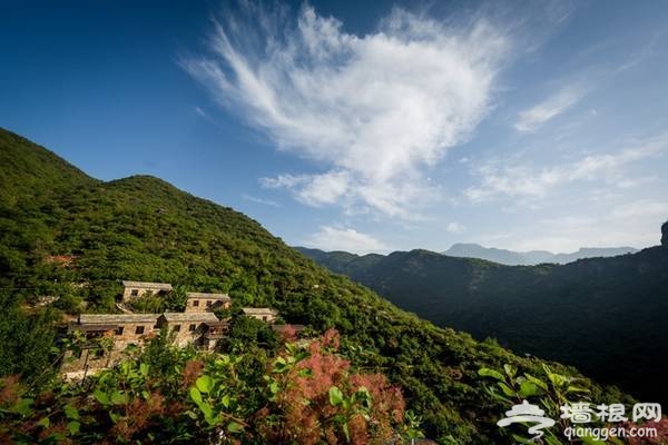 2018北京房山坡峰岭，第二届黄栌花节游玩攻略[墙根网]