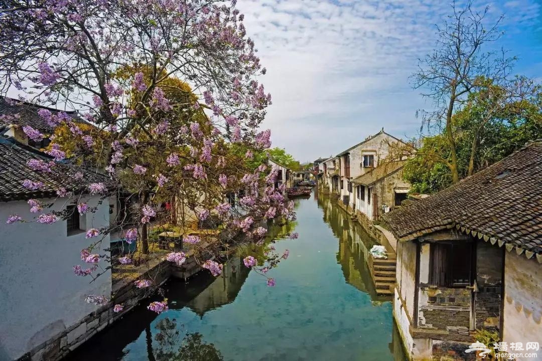 五月开始，最美的7条线路！条条惊艳无比！一定要自驾一遍[墙根网]