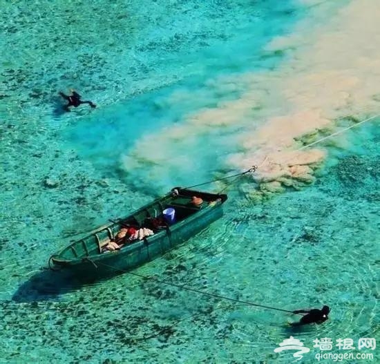 五月开始，最美的7条线路！条条惊艳无比！一定要自驾一遍[墙根网]