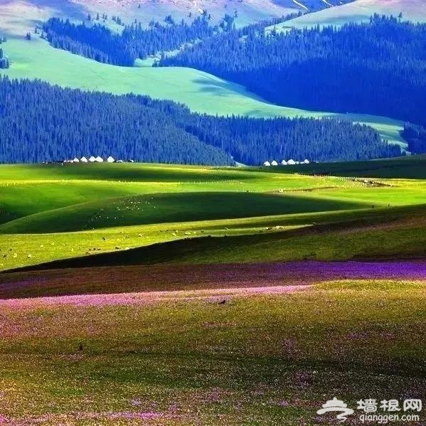 五月开始，最美的7条线路！条条惊艳无比！一定要自驾一遍[墙根网]