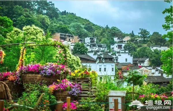 五月开始，最美的7条线路！条条惊艳无比！一定要自驾一遍[墙根网]