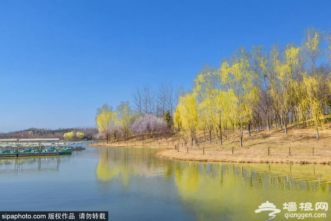 北京最美河湖来啦！这8处亲水游玩地初夏首选！[墙根网]