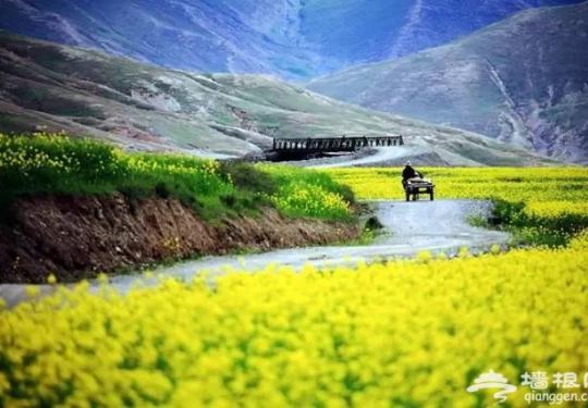 西藏比318国道更惊艳的公路，堪称史上颜值最高！