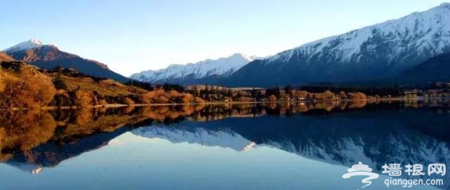 揭秘！能在200国通用，国际驾照翻译认证件如何做到？限时免费办！[墙根网]