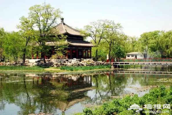 “皇家花园”划船 享受帝王巡游之乐[墙根网]