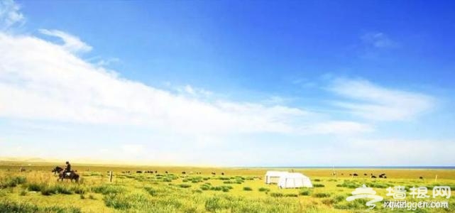 这条暑期最老少咸宜的青海湖环线，你可以先收下了！| 自驾地理[墙根网]