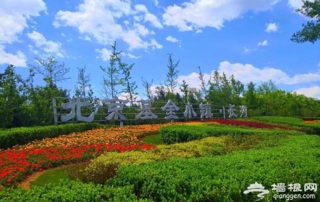 房山这片芍药花梯田已到最佳观赏期啦！[墙根网]