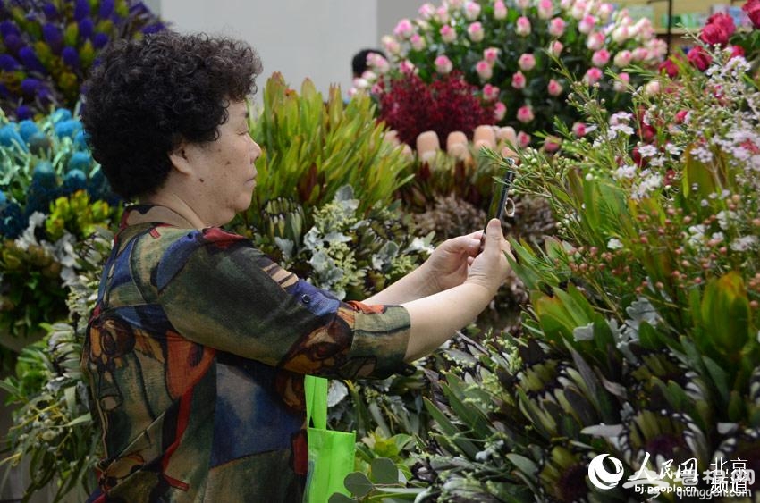 第二十届中国国际花卉园艺展览会中，各种花卉引得观众驻足观赏。人民网尹星云 摄