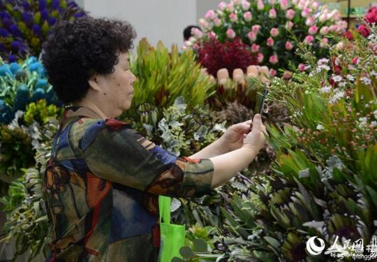 第二十届中国国际花卉园艺展览会在京开幕