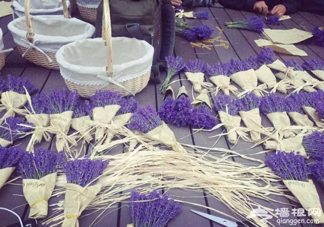 2018上海薰衣草节时间+门票+地点[墙根网]