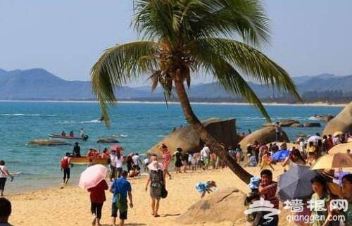 景区员工殴打导游 因补买儿童票发生争执