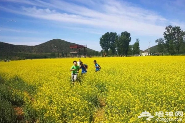 5月20日北京顺义国际山地马拉松即将在美丽的舞彩浅山激情开跑[墙根网]