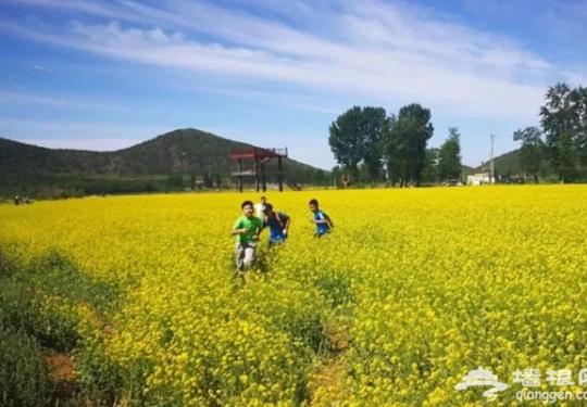 5月20日北京顺义国际山地马拉松即将在美丽的舞彩浅山激情开跑