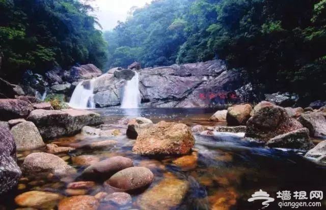 海南全！域！限！购！防城港成为候鸟族不二之选！[墙根网]
