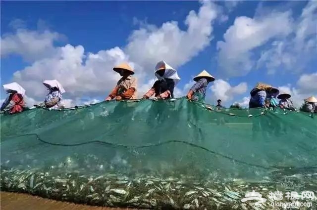 海南全！域！限！购！防城港成为候鸟族不二之选！[墙根网]