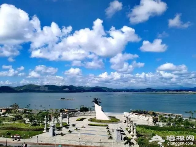 海南全！域！限！购！防城港成为候鸟族不二之选！[墙根网]