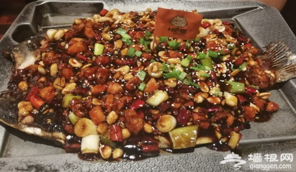 烤鱼的美味，猫和你都想了解[墙根网]