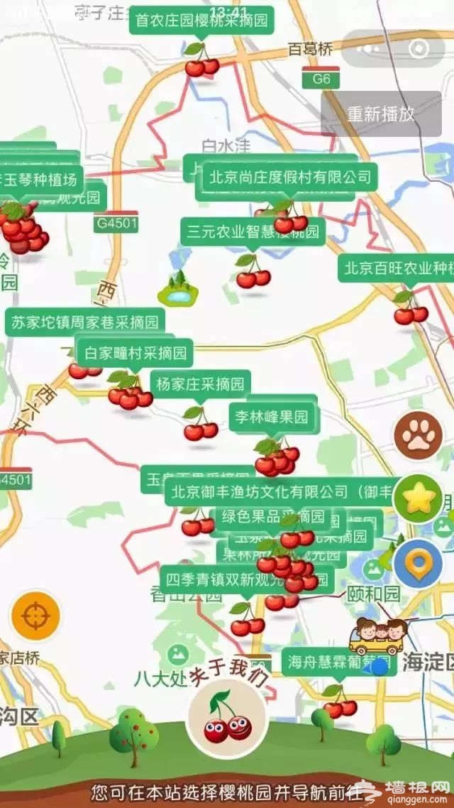 北京樱桃采摘地图发布！还等啥，走起！[墙根网]