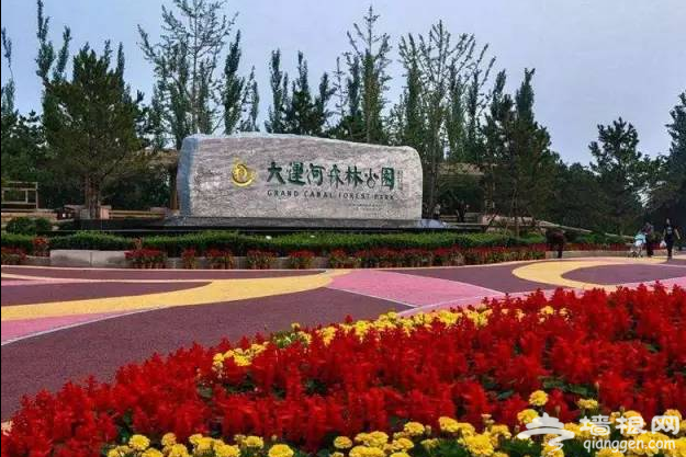 儿童节“上天入地”嗨翻夏日游乐园[墙根网]