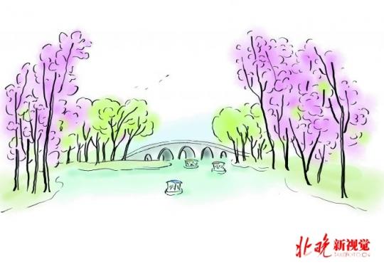 六一儿童节北京公园推出多项特色活动 玉渊潭举办鲁冰花花展