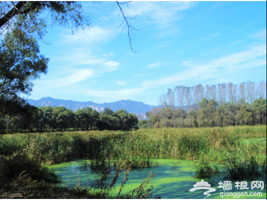 有山有水避暑地，京城湿地公园最凉爽