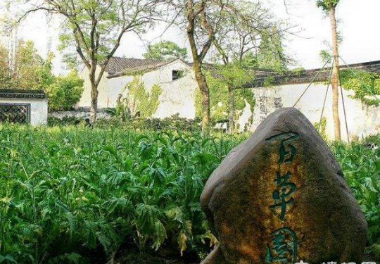 京郊“百草园”，中医传承的希望
