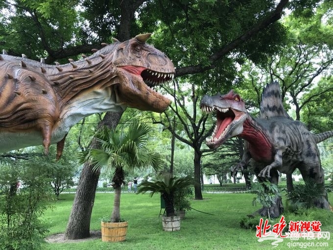 北京陶然亭公园“最大肉食恐龙”亮相 园博馆开启“仲夏夜之梦”[墙根网]