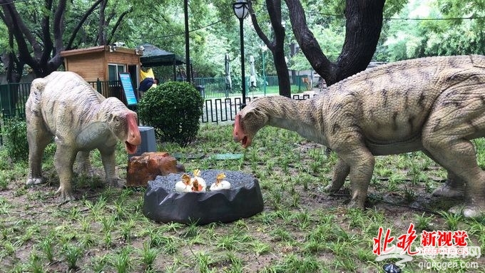 北京陶然亭公园“最大肉食恐龙”亮相 园博馆开启“仲夏夜之梦”[墙根网]