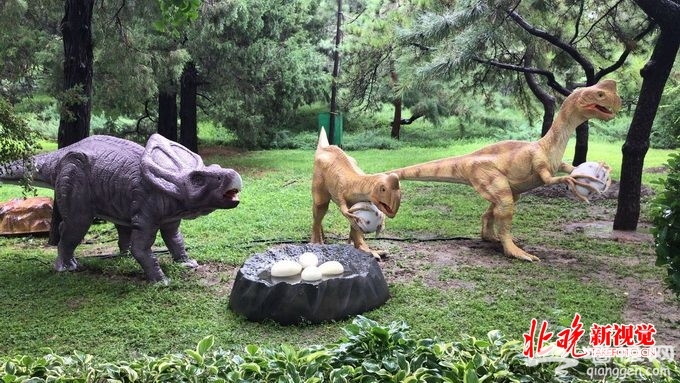 北京陶然亭公园“最大肉食恐龙”亮相 园博馆开启“仲夏夜之梦”[墙根网]