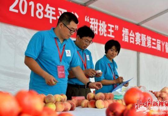北京国际大桃嘉年华开幕，平谷“甜桃王”长这样