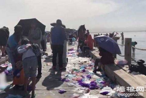 天空之境变垃圾场 游客无视垃圾桶,鞋套遍地扔