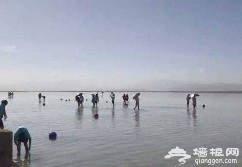 每日4万人游茶卡盐湖　&ldquo;中国天空之镜&rdquo;变垃圾场