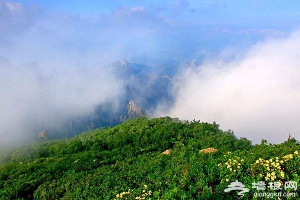 不用去安徽，北京周边这些云海美景堪比黄山，雾气升腾似仙境！[墙根网]