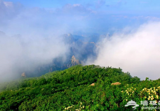 不用去安徽，北京周边这些云海美景堪比黄山，雾气升腾似仙境！