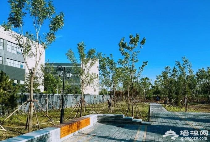 北京海淀新增两处城市森林公园 分别于九月和年底对外开放[墙根网]
