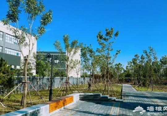 北京海淀新增两处城市森林公园 分别于九月和年底对外开放