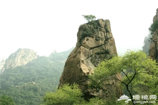 看黄山不用去安徽，北京隔壁就有一座美爆的“小黄山”啊…[墙根网]