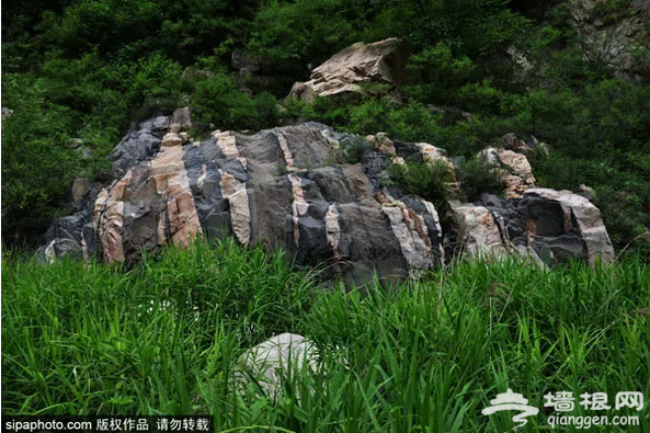 看瀑布、耍野水、森林洗肺，北京夏天必去的神奇“山水盆景”！[墙根网]
