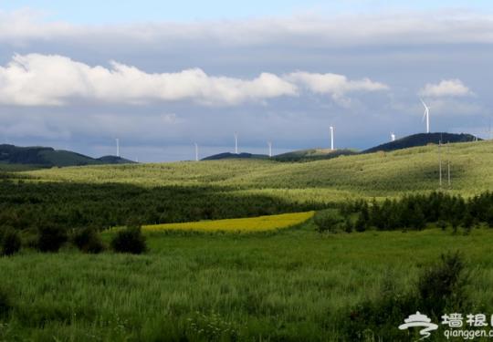 北京至承德塞罕坝方向“京津冀”旅游班列明日首发 全程运行4天