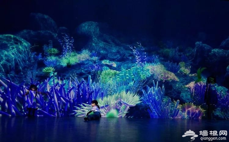北京《寻梦海底两万里》沉浸式艺术展时间、地点及门票[墙根网]