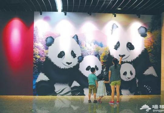 2018中国大熊猫国际文化周攻略（活动+展览）